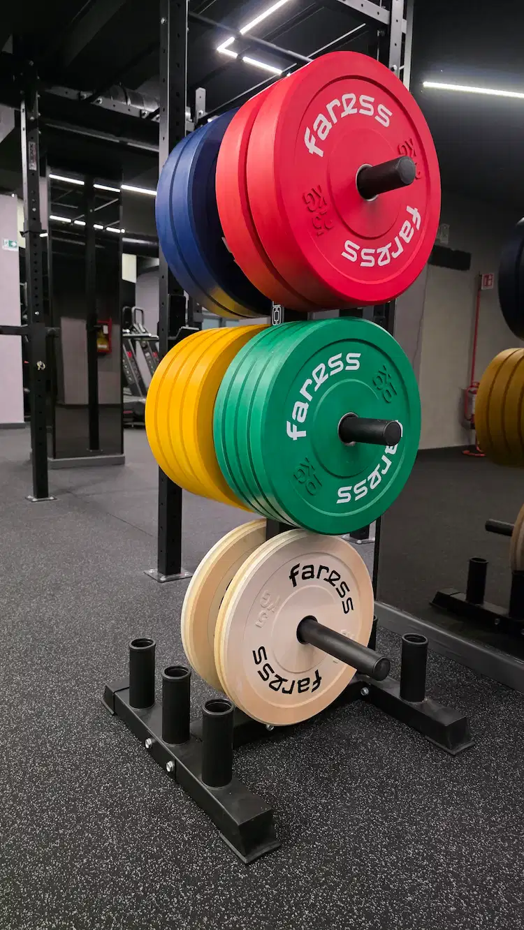 palestra-gymhub-pesi