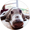 Casa F. profile picture